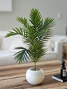 Planta Sham con Maceta 70 cm