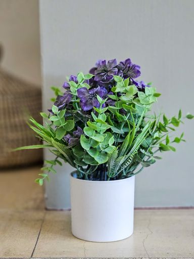 Plantin Deco Lilas 26 cm
