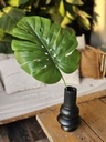 RAMA MONSTERA VERDE CLARO