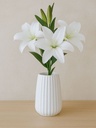 VARA DE TIGER LILY 58 CM