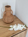 Vara de orquideas 100cm