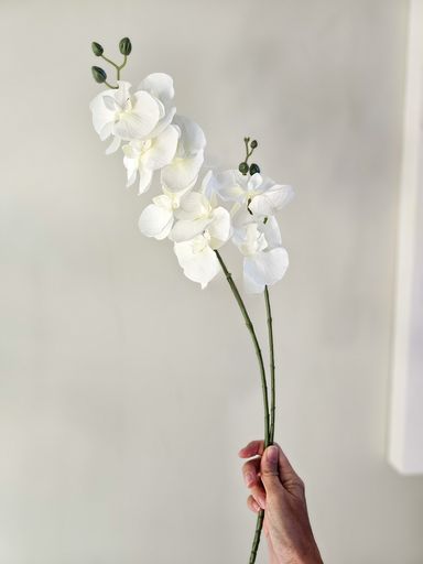 Vara orquidea 63 cm