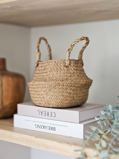 Canasto Vietnam 18cm