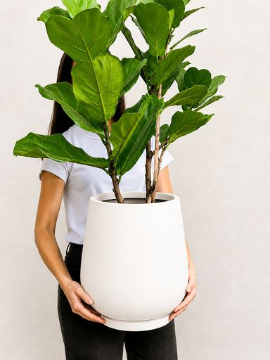 Maceta Copa 30cm blanco