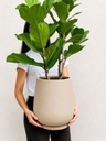 Maceta Copa 30cm beige