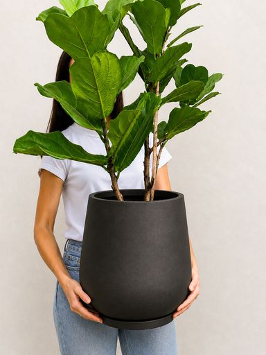 Maceta Copa 30cm negro