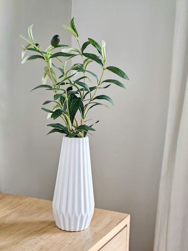 Florero Rayas