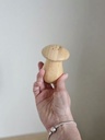 Salero Fungi