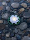 Flor de Loto Solar Flotante