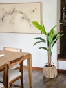 Planta artificial strelitzia 150 CM