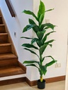 Planta Camille 150cm