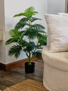Planta Jungla 90cm