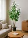 ARBOL 135CM