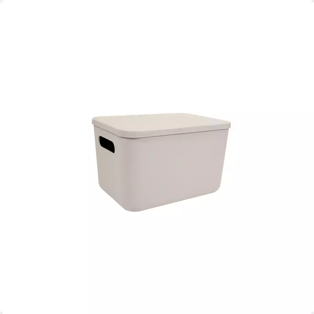 CAJA CON TAPA PLASTICA 4 LITROS BEIGE