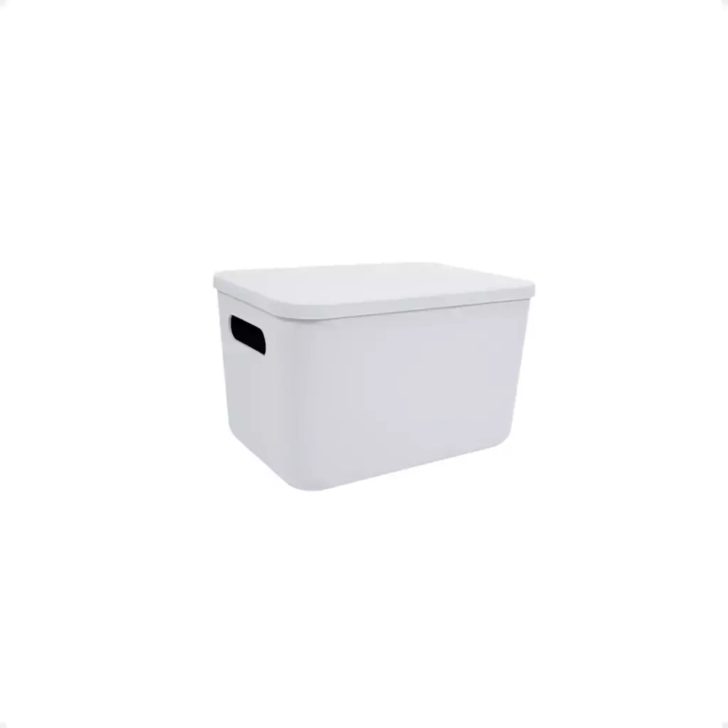 CAJA CON TAPA PLASTICA 4 LITROS BLANCO
