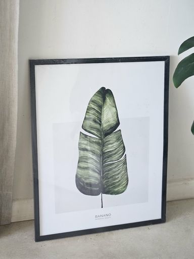 CUADRO NATURALEZA 40X50 Banano
