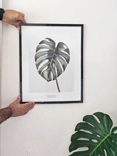 CUADRO NATURALEZA 40X50 Monstera
